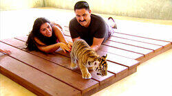 Lions and Buddhists and Persians, Oh My! Lions and Buddhists and Persians, Oh My!