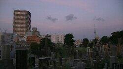 Yanaka Cemetery: Dialogs Between Death and Life Yanaka Cemetery: Dialogs Between Death and Life