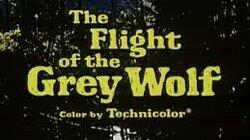 The Flight of the Grey Wolf (2) The Flight of the Grey Wolf (2)