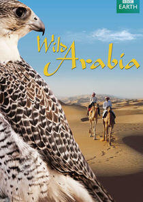 Wild Arabia Wild Arabia