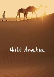 Wild Arabia - Season 1 Wild Arabia - Season 1