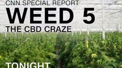 Weed 5: The CBD Craze Weed 5: The CBD Craze
