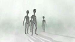 Alien Watchers