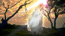 Shadow People and The Sun Miracle Shadow People and The Sun Miracle