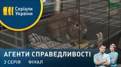 Дело № 403. Кроляча нора Дело № 403. Кроляча нора