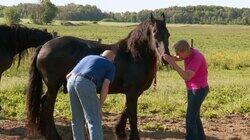Foaly Moses! Foaly Moses!