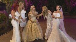 7 Brides and a Groom 7 Brides and a Groom