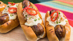 Hot Dogs, New Tricks Hot Dogs, New Tricks