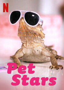 Pet Stars Pet Stars