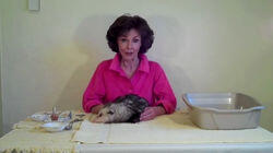 Possum Lady Possum Lady