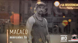 Macaco Macaco