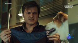 Memories of a puppy Memories of a puppy
