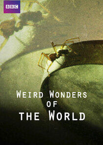 Weird Wonders of the World Weird Wonders of the World
