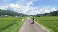Niigata - The Deep Green of Summer Niigata - The Deep Green of Summer
