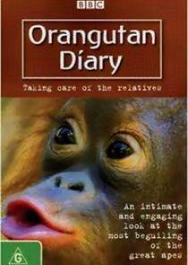 Orangutan Diary Orangutan Diary