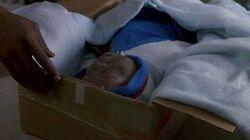 Cradle to Grave Cradle to Grave