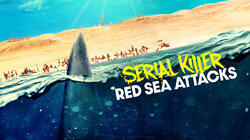 Serial Killer: Red Sea Attacks Serial Killer: Red Sea Attacks