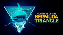 Monsters of the Bermuda Triangle Monsters of the Bermuda Triangle