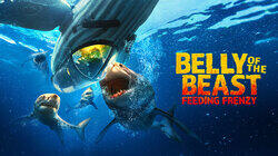 Belly of the Beast: Feeding Frenzy Belly of the Beast: Feeding Frenzy