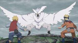 The Last Battle: Urashiki The Last Battle: Urashiki
