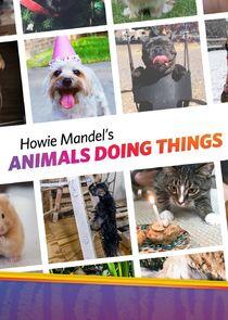 Howie Mandel's Animals Doing Things Howie Mandel's Animals Doing Things