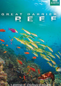 Great Barrier Reef Great Barrier Reef