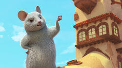 Mouse Mouse