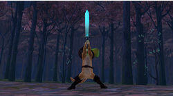 Sword's Man Sword's Man