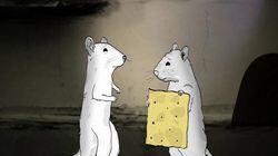 Rats. Rats.
