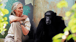 Dr. Jane Goodall Dr. Jane Goodall