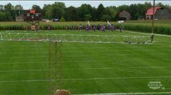 Corn Field (1) Corn Field (1)