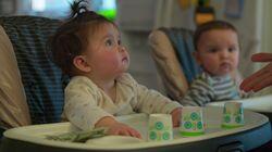 What Babies Know What Babies Know