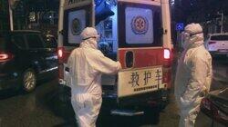 China's Covid Secrets
