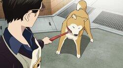 Episode 10 Episode 10