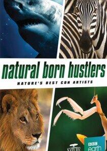 Natural Born Hustlers Natural Born Hustlers