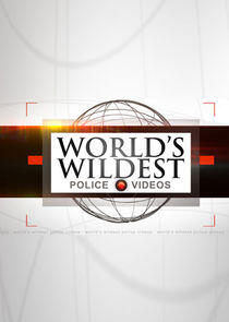 World's Wildest Police Videos World's Wildest Police Videos