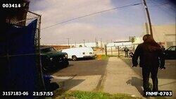 Carjacking Bear