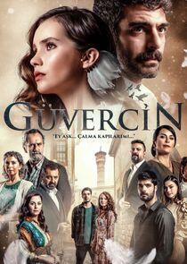 Güvercin Güvercin