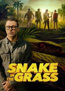 Snake in the Grass - Season 1