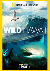 Wild Hawaii Wild Hawaii