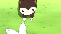Goma-chan vs. Cat Goma-chan vs. Cat