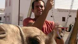 Here Comes the Bedouin Here Comes the Bedouin