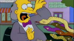 Whacking Day Whacking Day