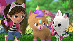 Kico the KittyCorn Kico the KittyCorn