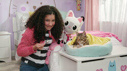 Kitty Fairy Gets Sick Kitty Fairy Gets Sick