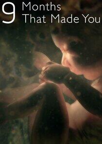 The Nine Months That Made You The Nine Months That Made You