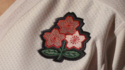 The Sakura Sevens The Sakura Sevens