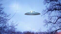 Mass Sightings Mass Sightings