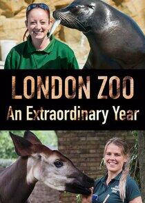 London Zoo: An Extraordinary Year London Zoo: An Extraordinary Year