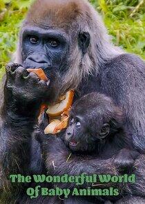 The Wonderful World of Baby Animals The Wonderful World of Baby Animals